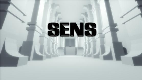 ze_re_sens