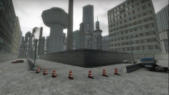 ze_ny_marathon_cs2